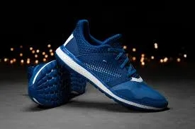  Giày Thể Thao Chính Hãng Là Gì? Bí Quyết Chọn Mua và Bảo Quản Từ A Đến Z